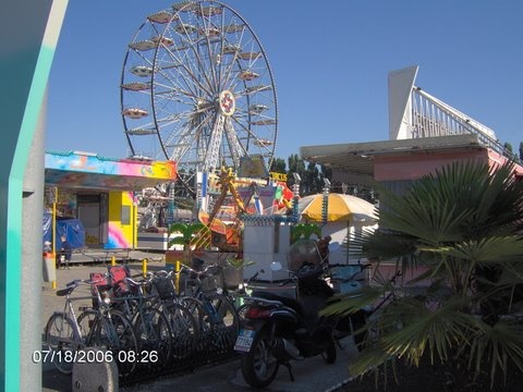 Bibione mindenhol...