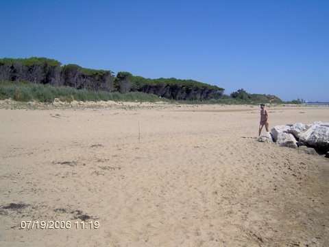 Bibione mindenhol...