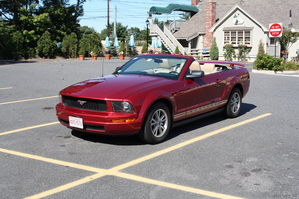 Mustang 01