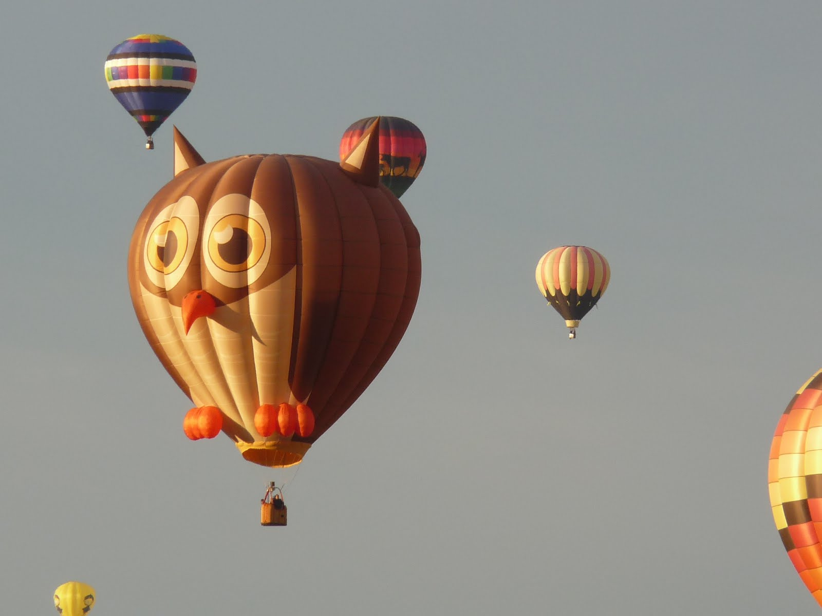 260Southwest Albuquerque Hot Air Balloon