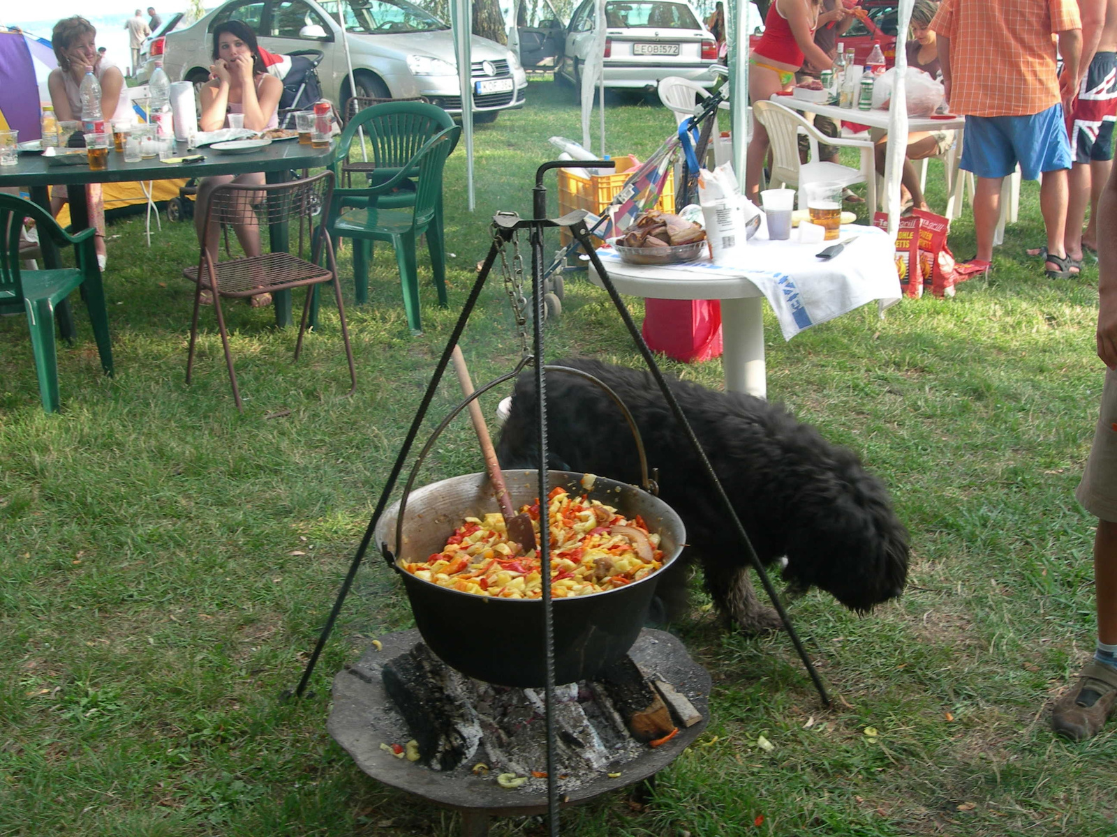 Balatonkenese 2007. Aug. 18. Lecs  fesztiv l 066