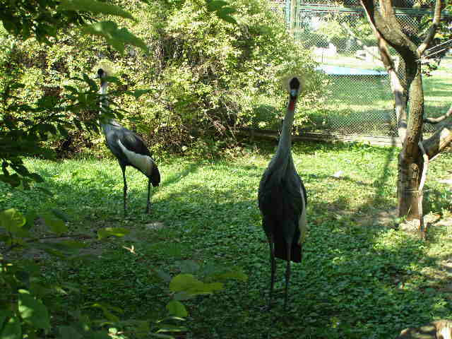 2008 08 08 Fényképei 152