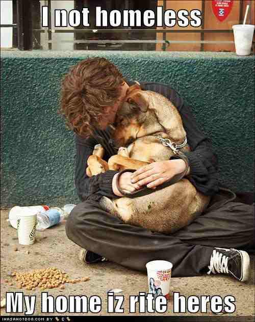 funny-dog-pictures-homeless-hug