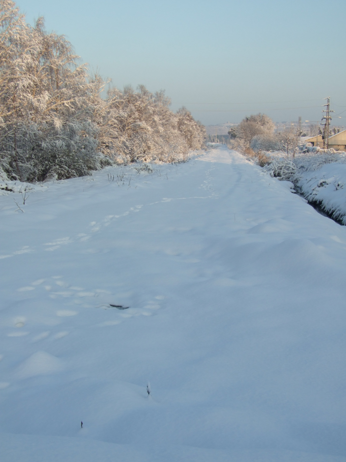 ahol vasút futott / where the railway used to be