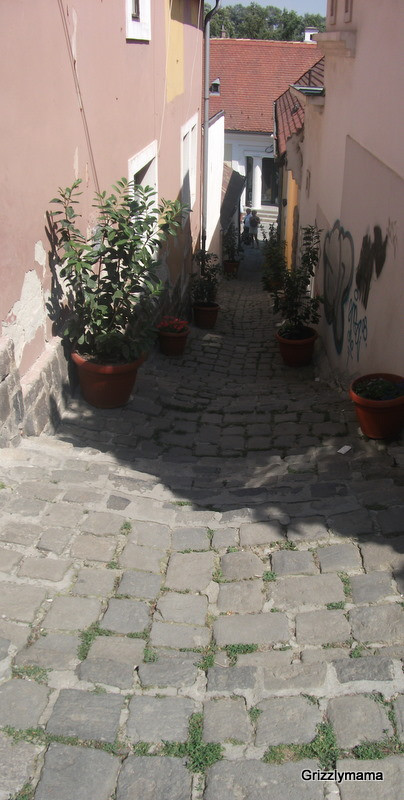 Szentendre-4