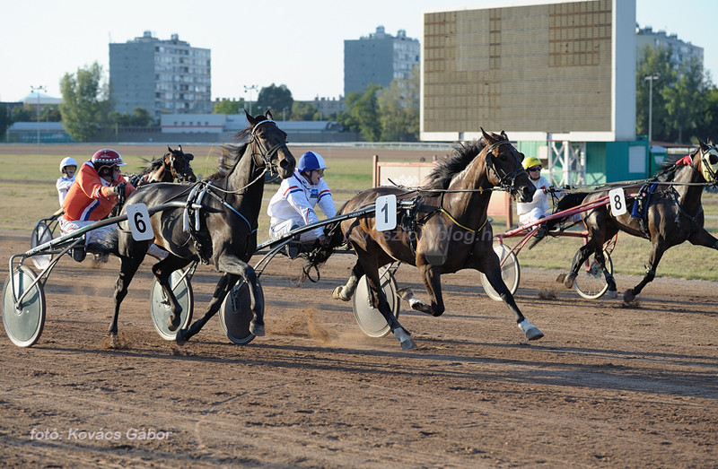 F.E.G.A.T. Európa Kupa 2011. - Döntő