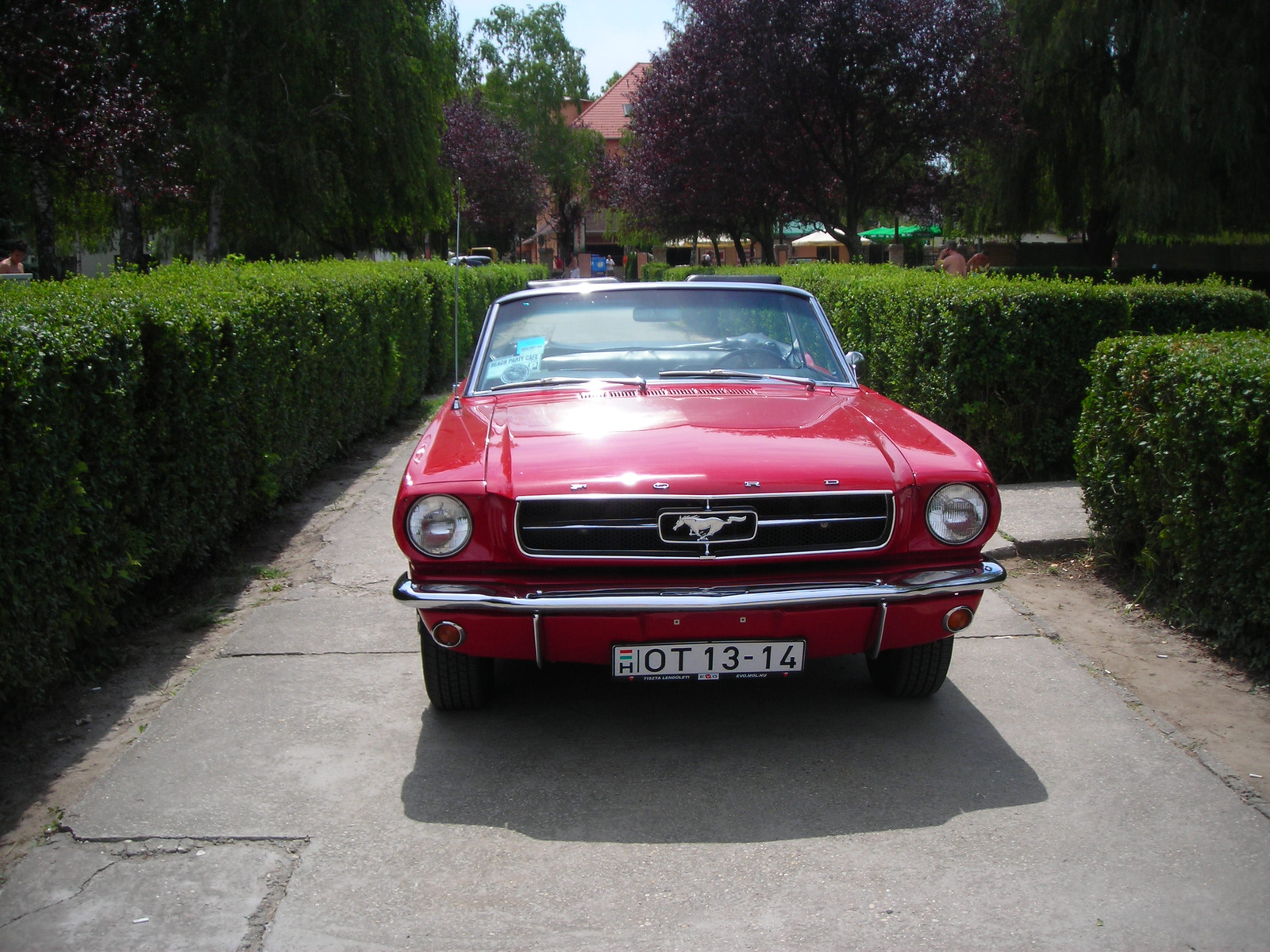 Mustang Convertible '68