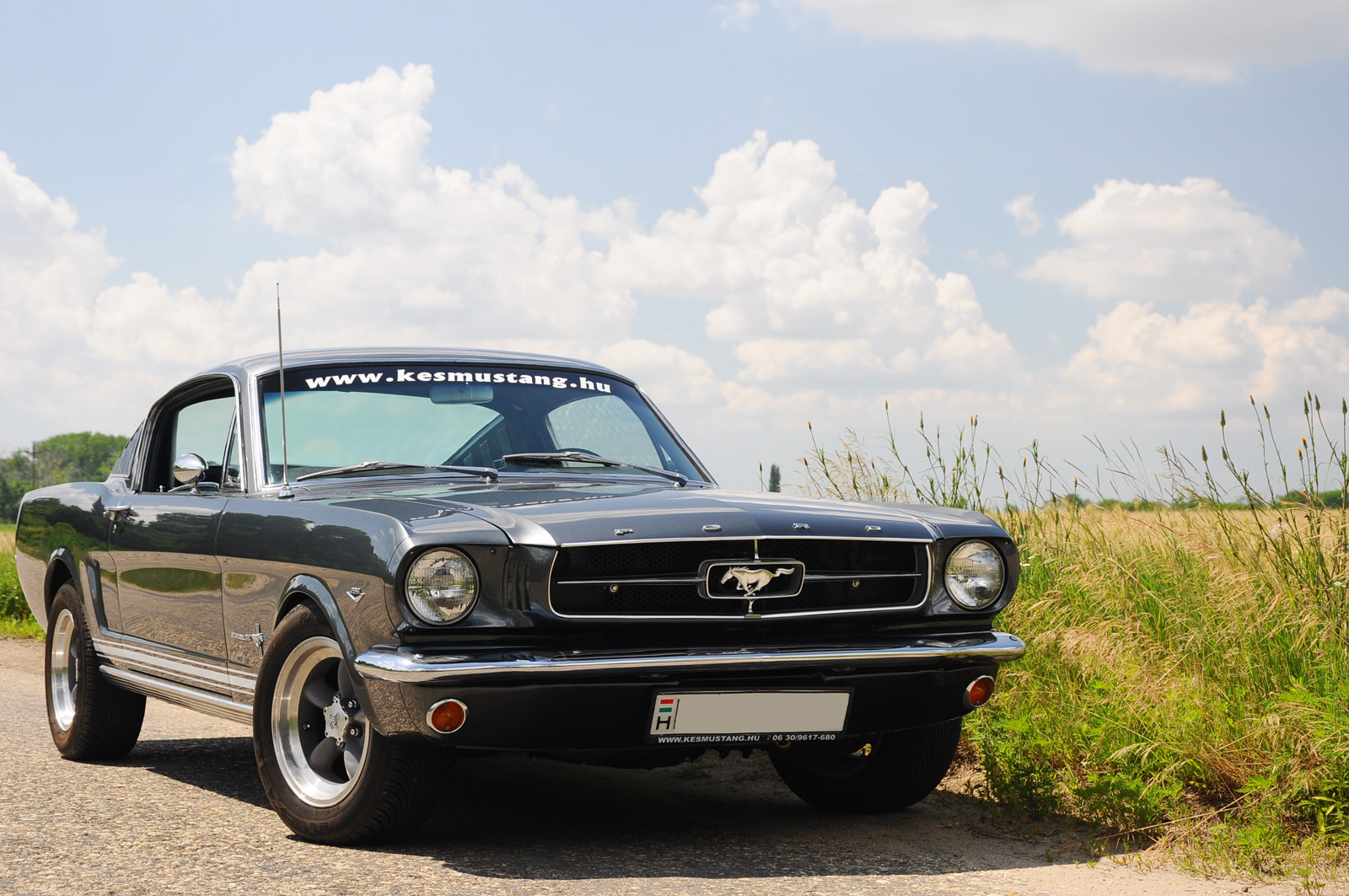 Ford Mustang Fastback