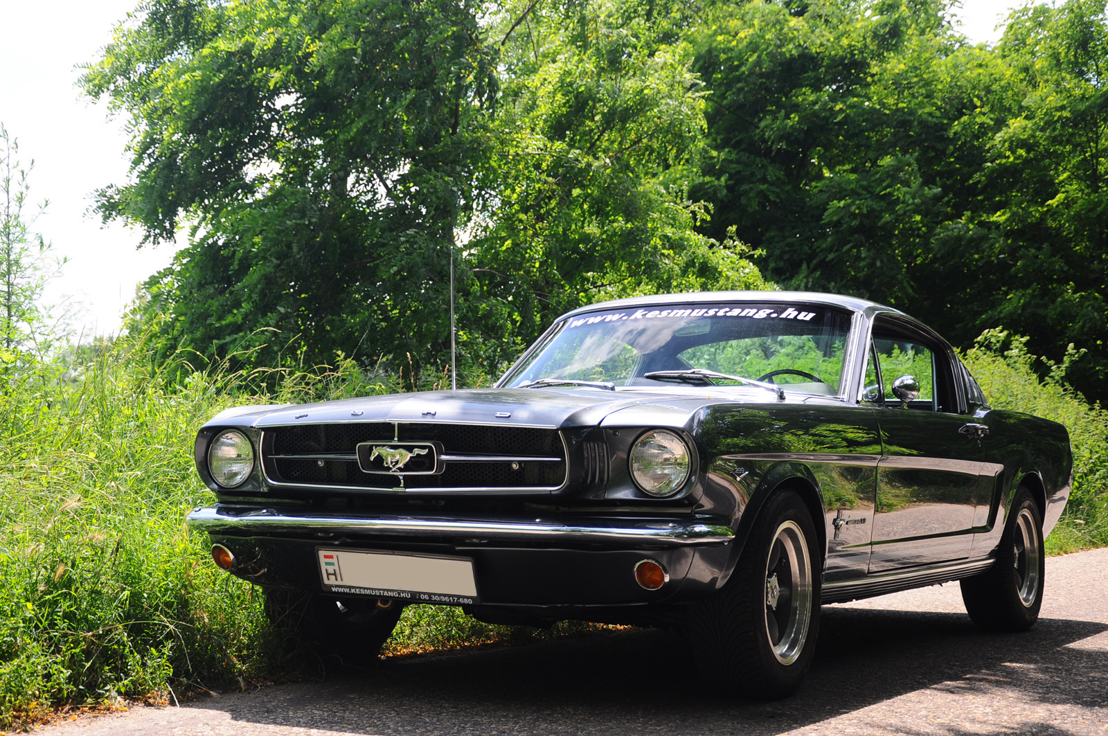 Ford Mustang Fastback