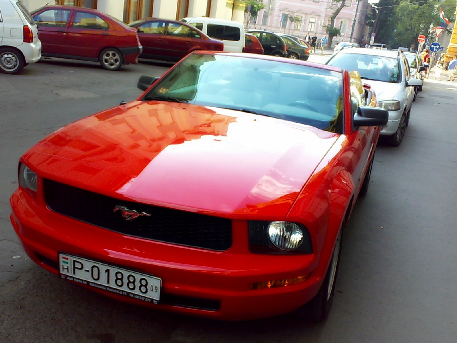 Mustang