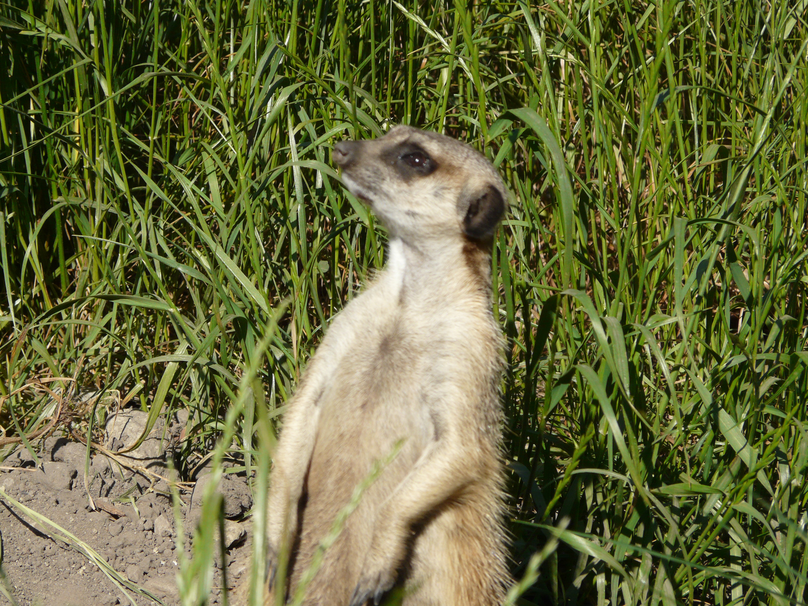 Osztálykirándulás 2009 067