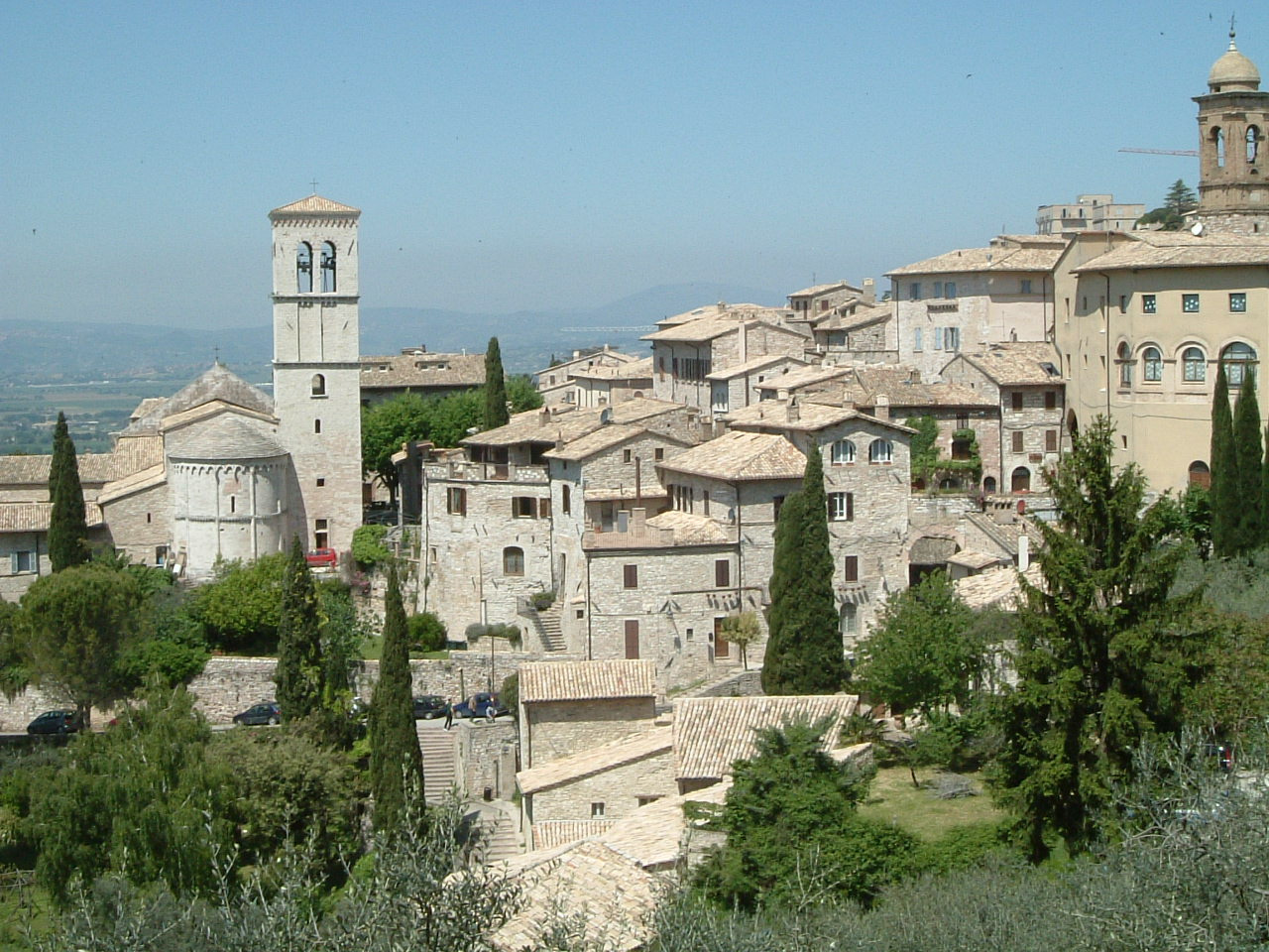 assisi113