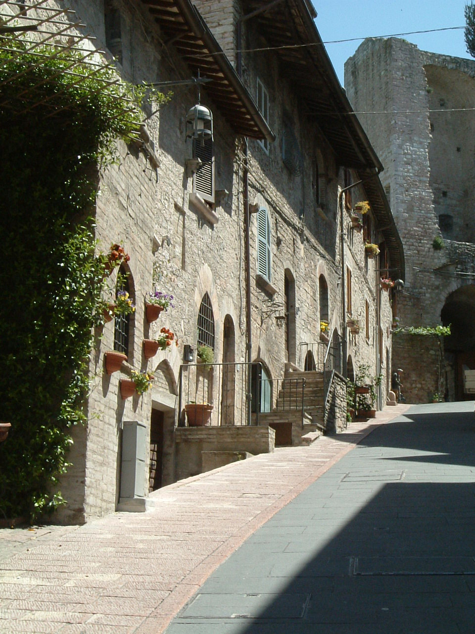 assisi119