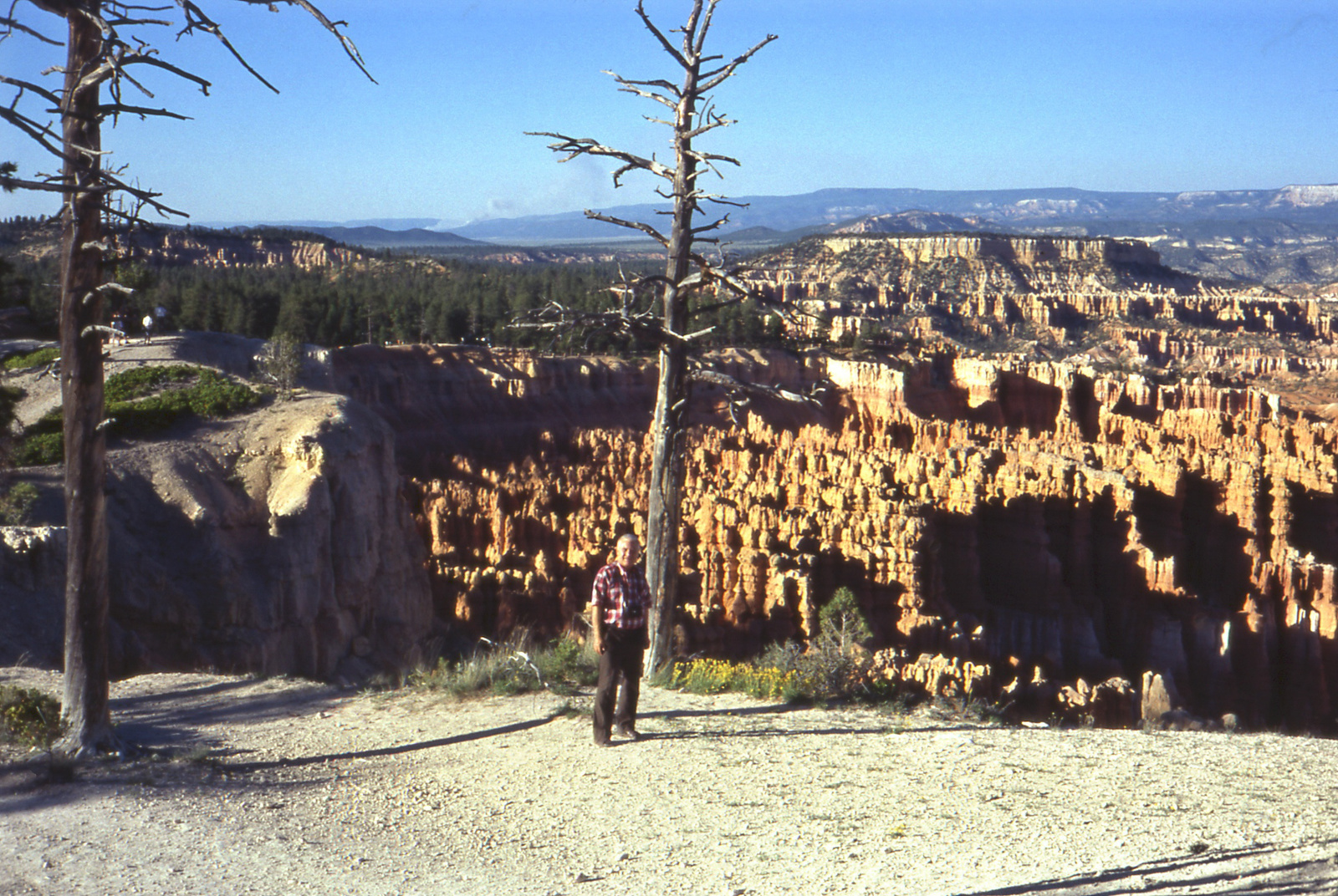 133 Bryce Canyon