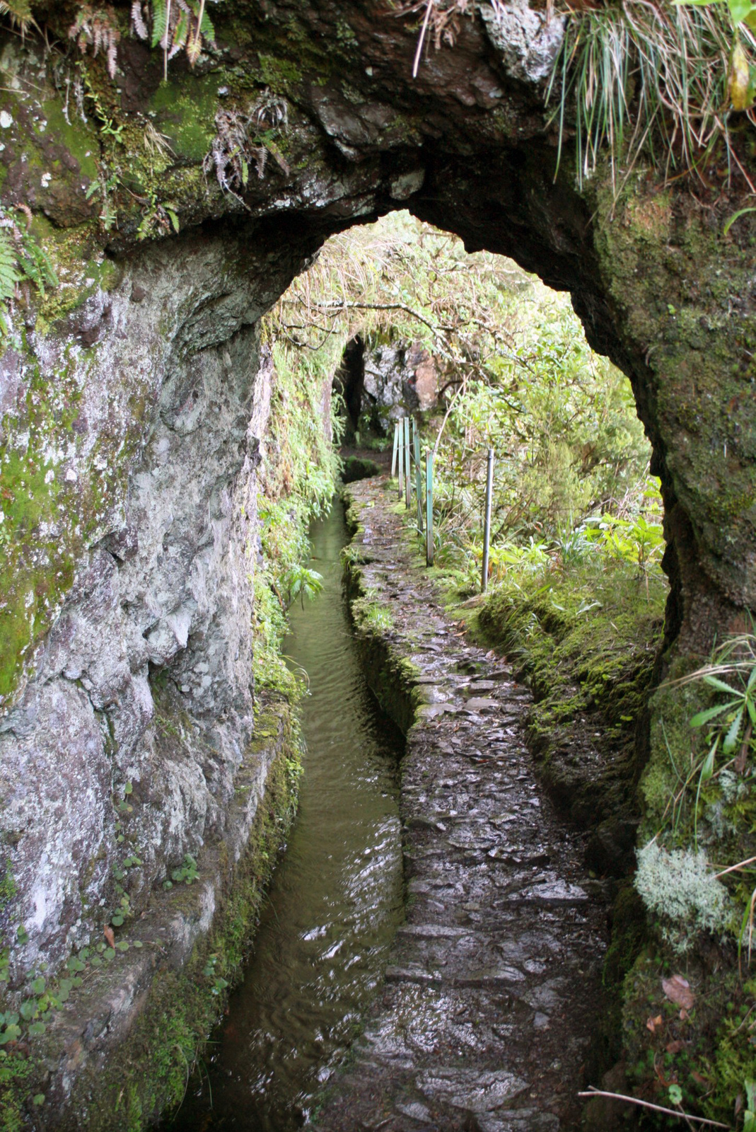 Madeira levada alagut