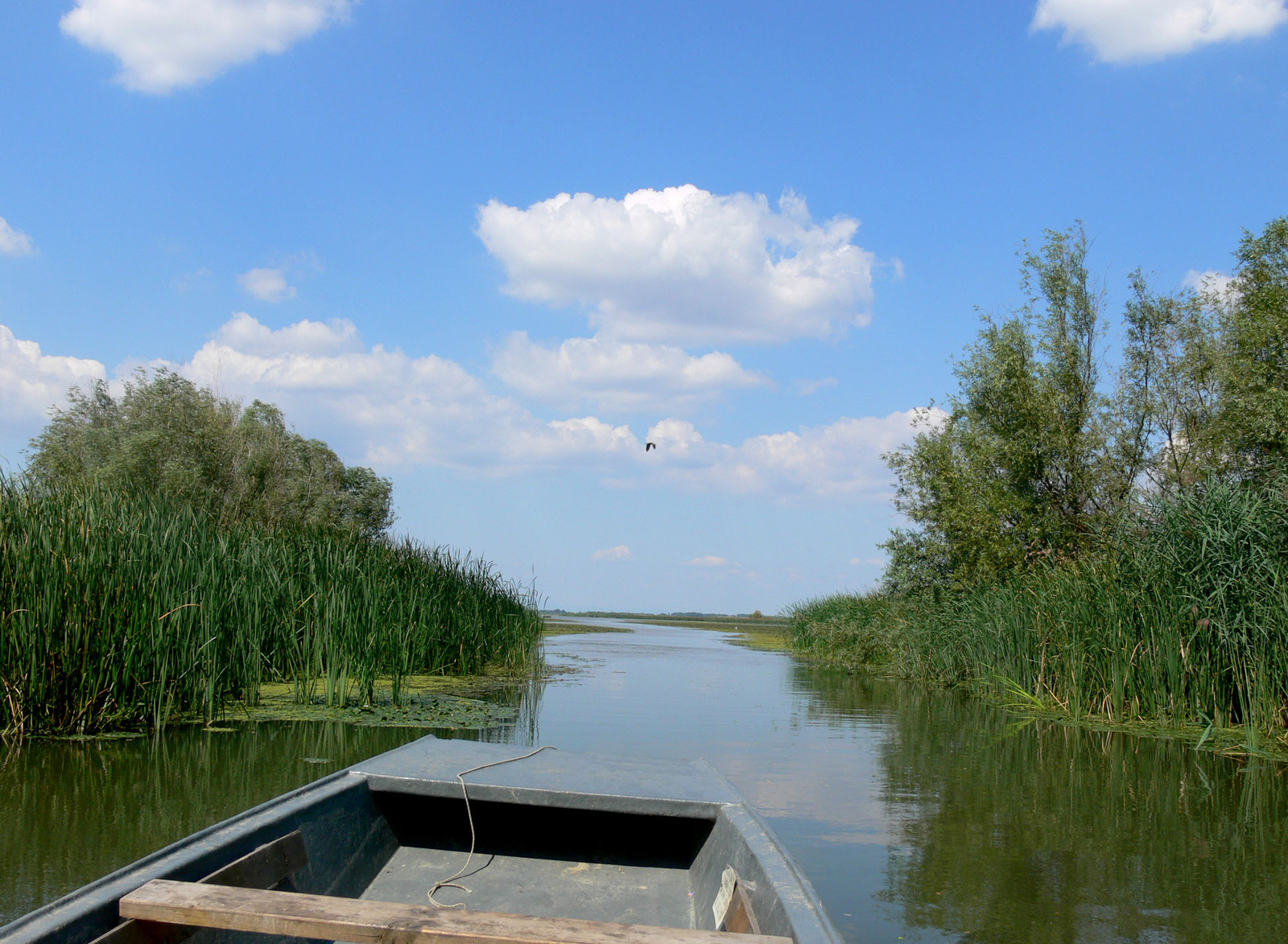 Tisza-tó zsákutca