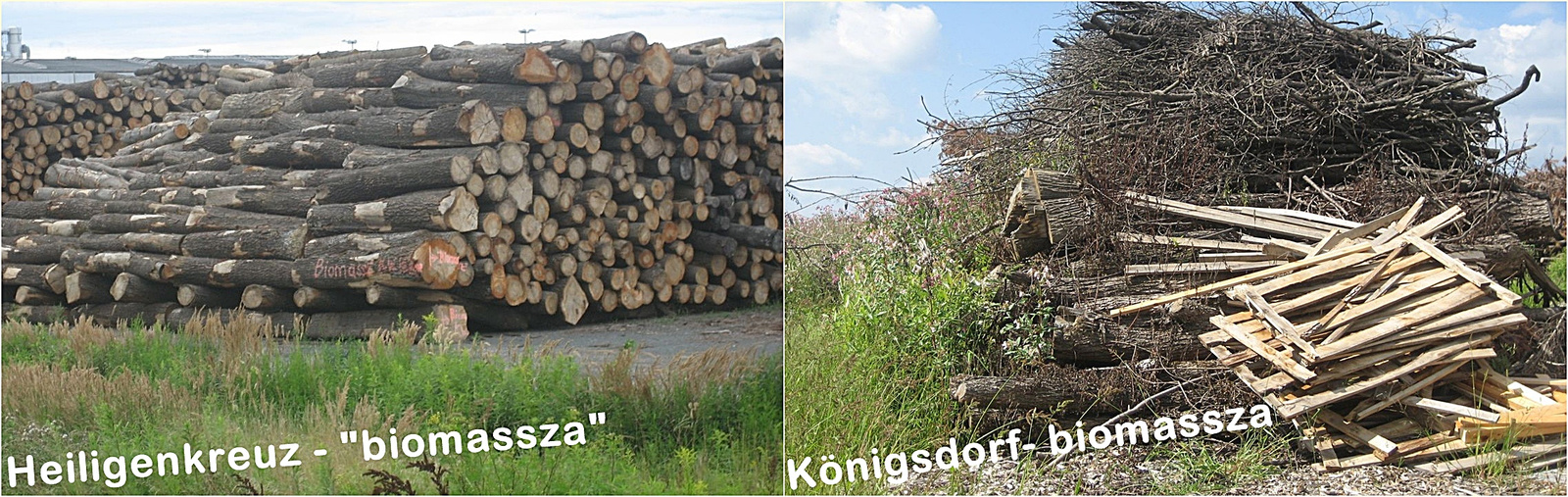 Biomassza a határon 2