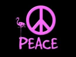 Peace with Flamingo