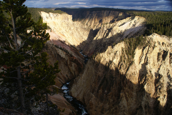 Grand canyon of Yellowstone