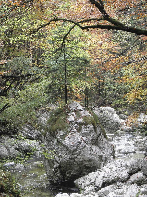 Triglav Nemzeti Park