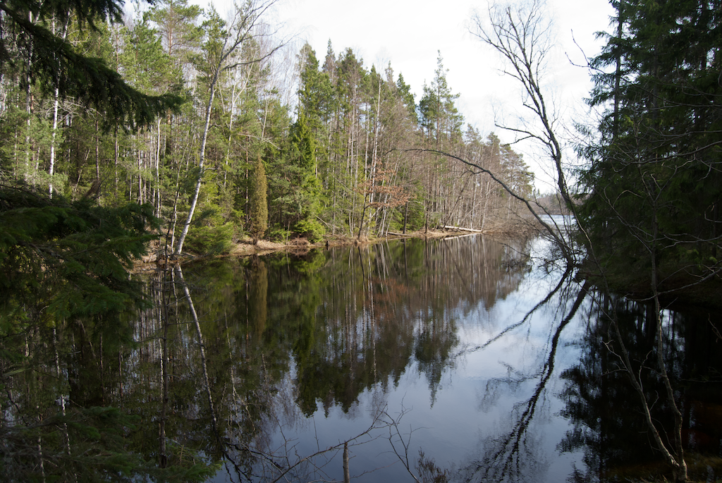 Tyresta nemzeti park - Stensjön