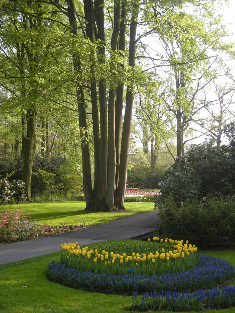 Keukenhof