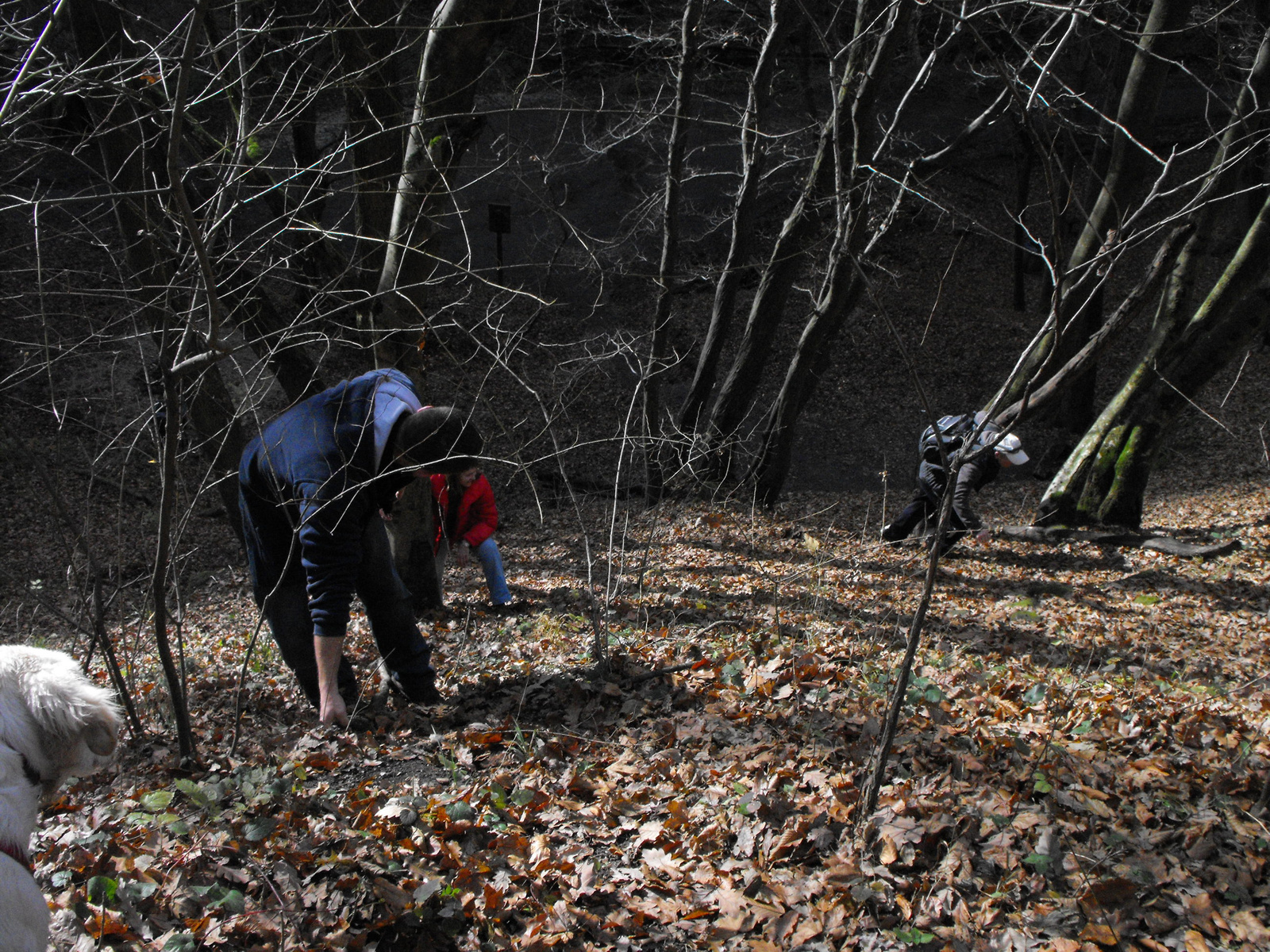 2010 1113 Visegrad 0024