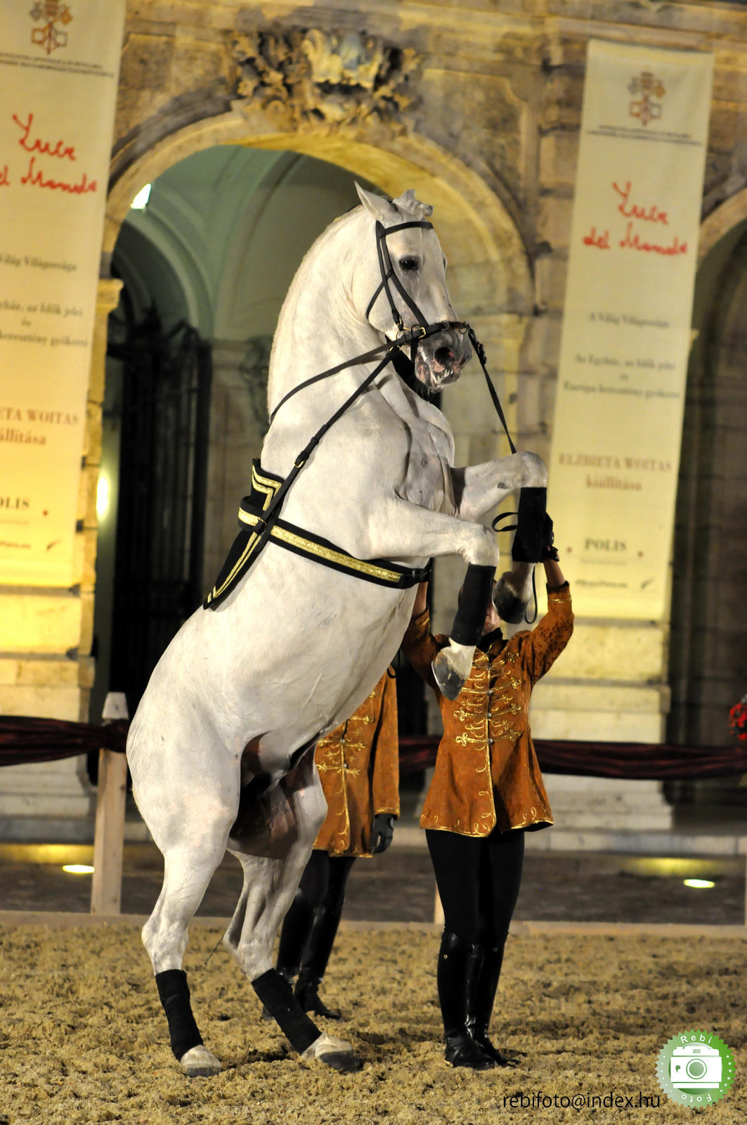 epona spanyol lovasiskola