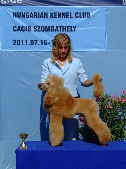 Szombathely CACIB 110716 105