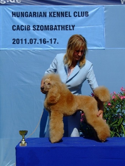 Szombathely CACIB 110716 106