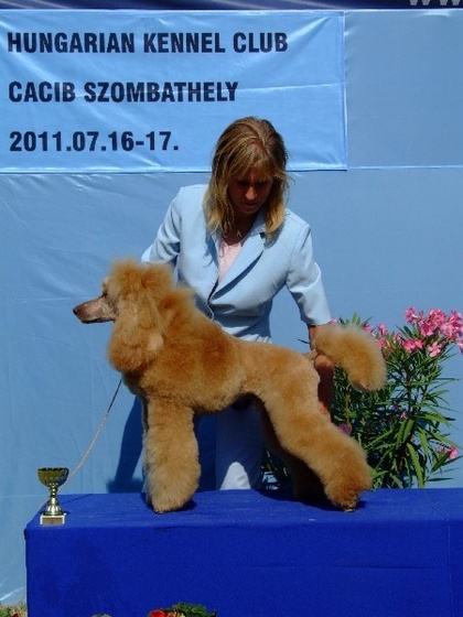 Szombathely CACIB 110716 107