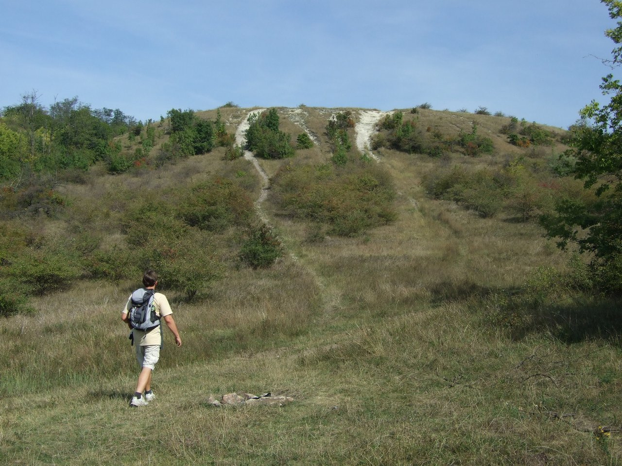 Veresegyházi Medvepark 25