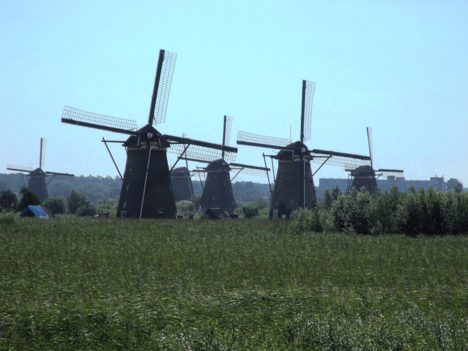 Kinderdijk 006