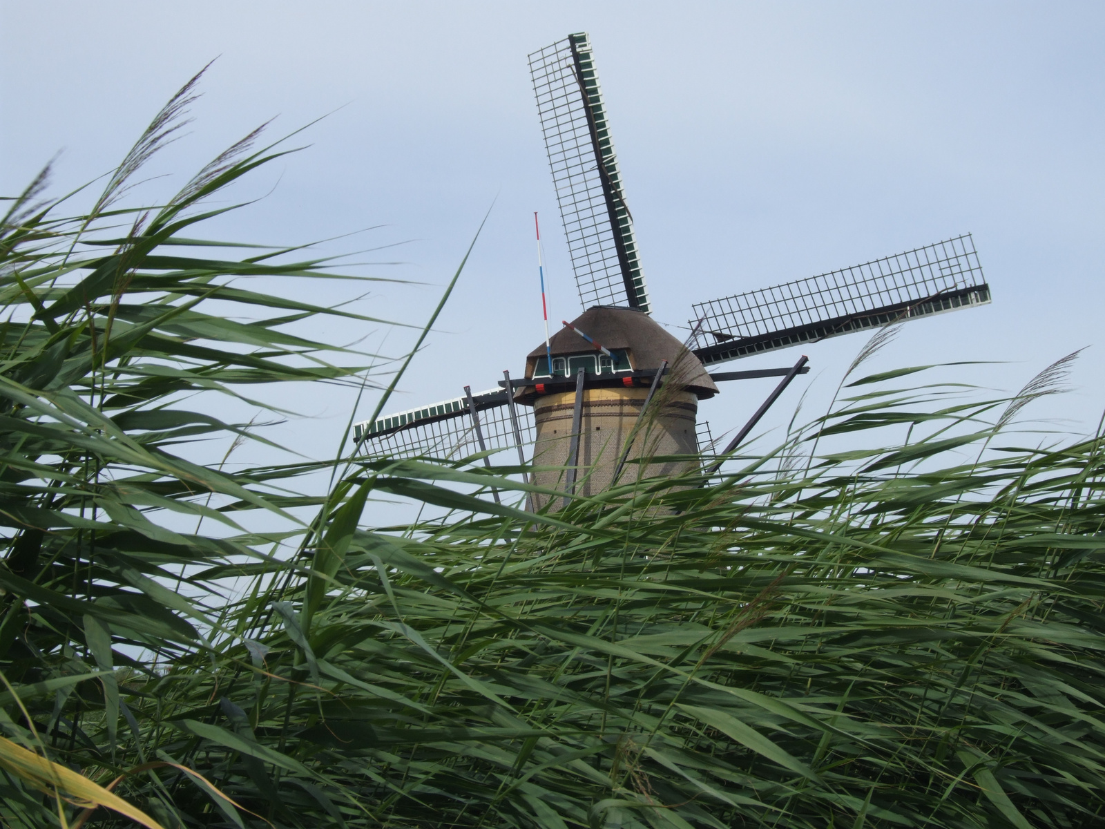 Kinderdijk 065