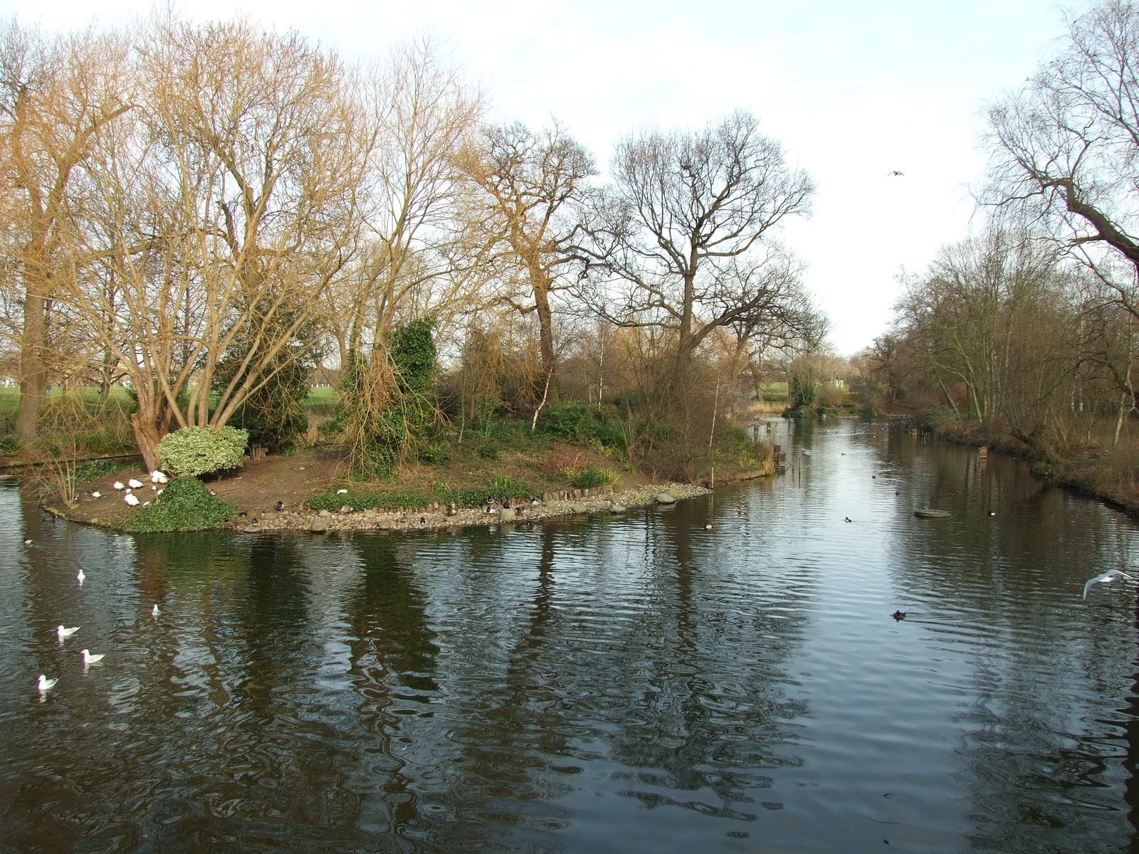 Regent's Park