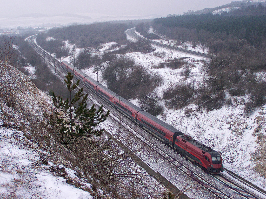 1116 214 - 6 Szár (2010.12.30).