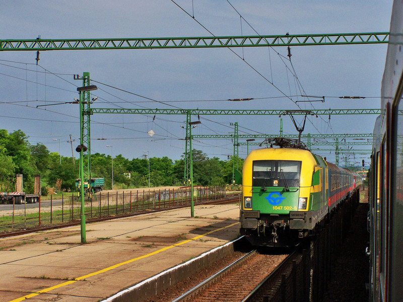 1047 502 - 8 Biatorbágy (2010.07.04).