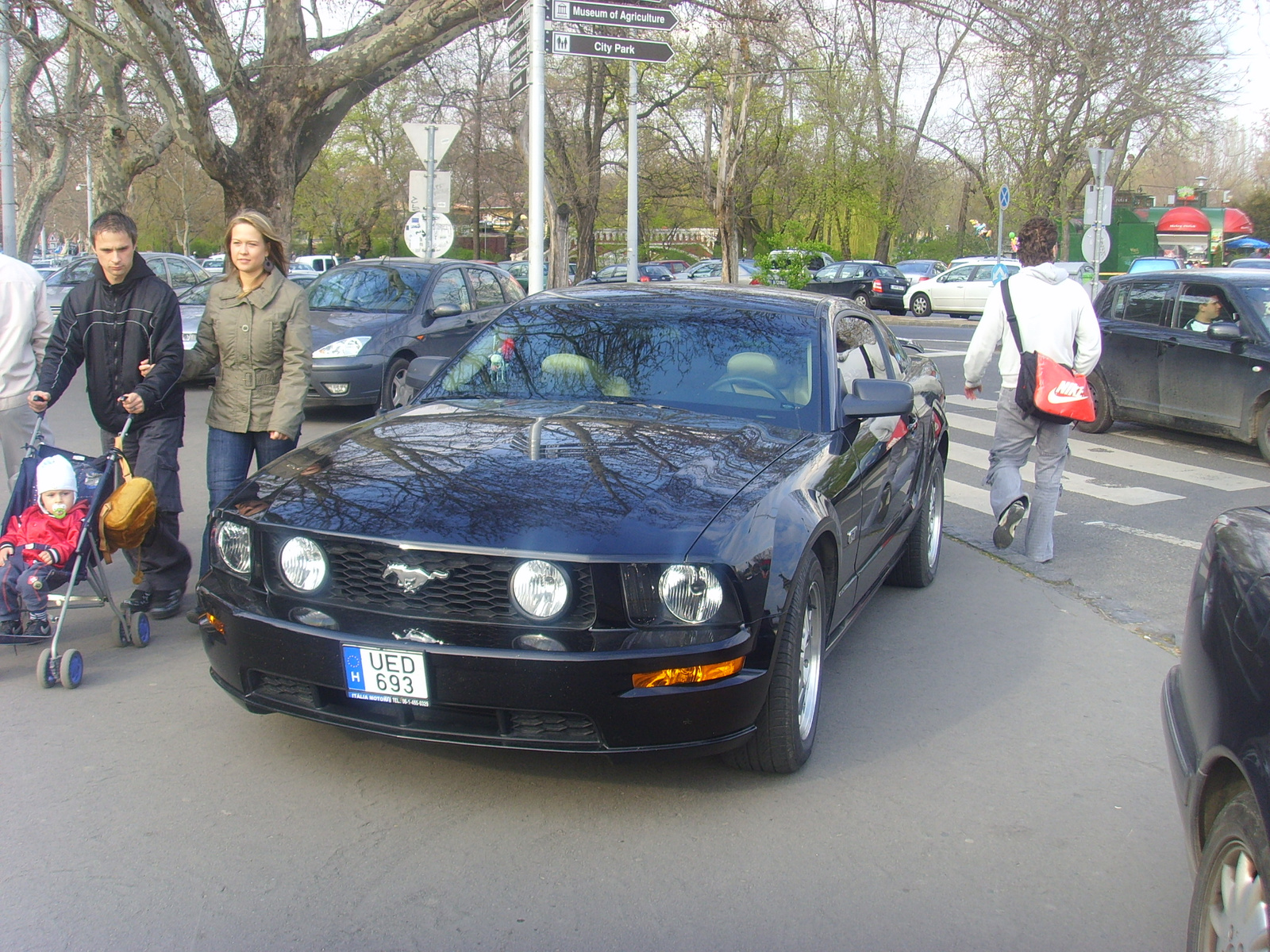 FORD MUSTANG