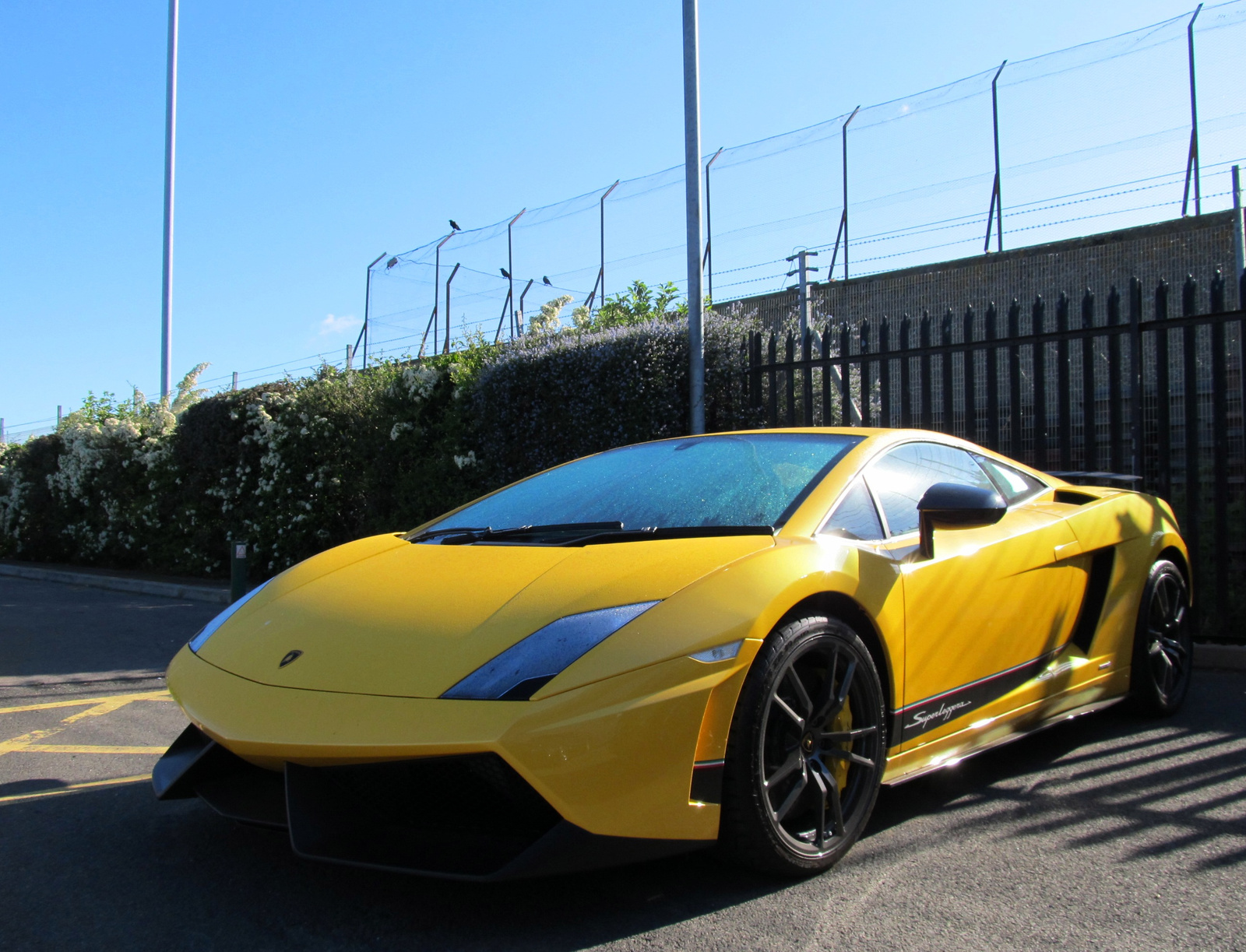 Lamborghini Gallardo LP570-4 Superleggera