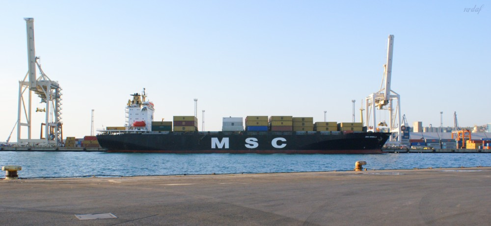 MSC