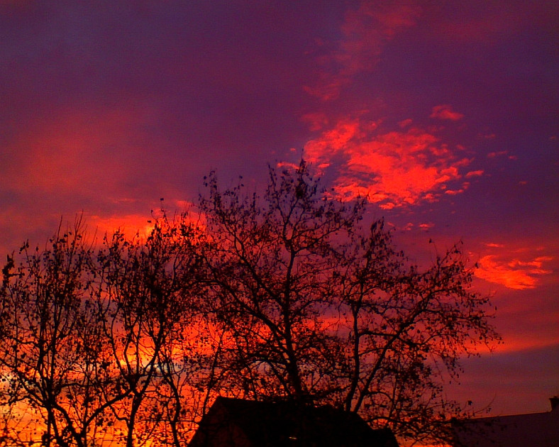 Red sky3