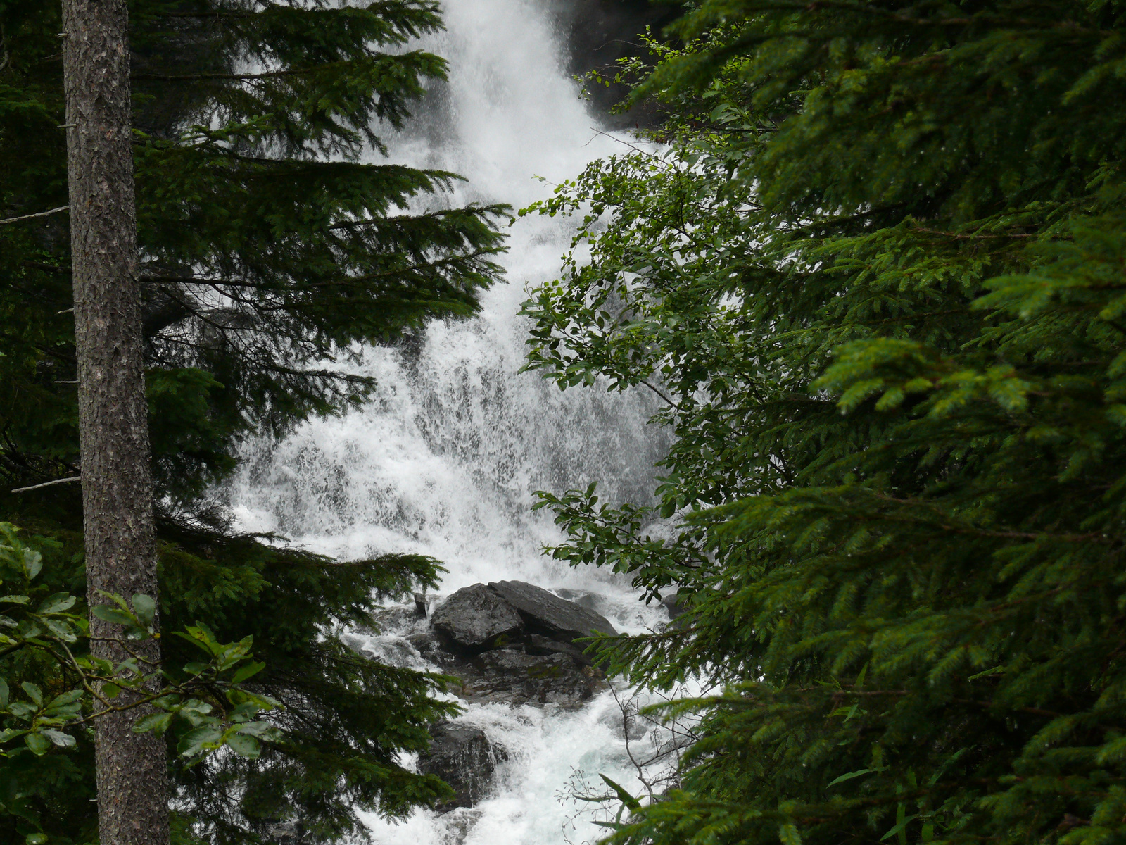 Riesach Wasserfall (7)