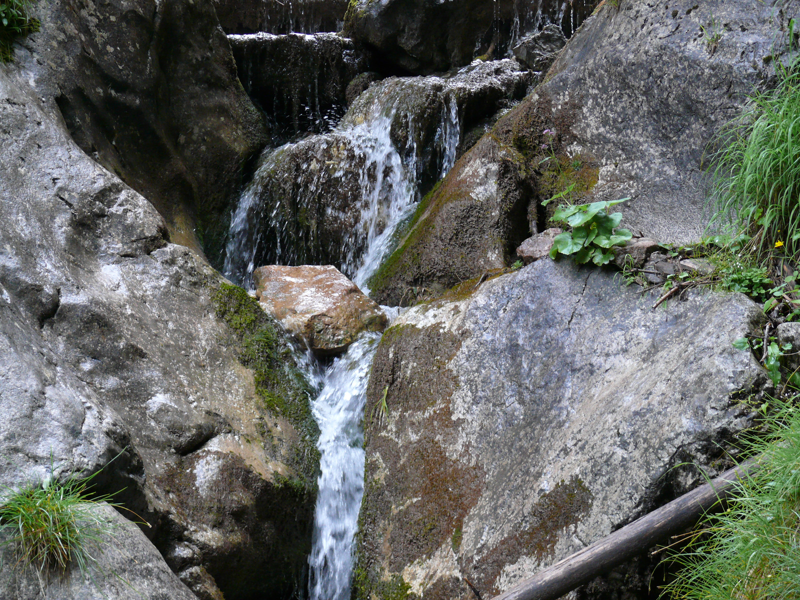 Silberkarklamm (21)