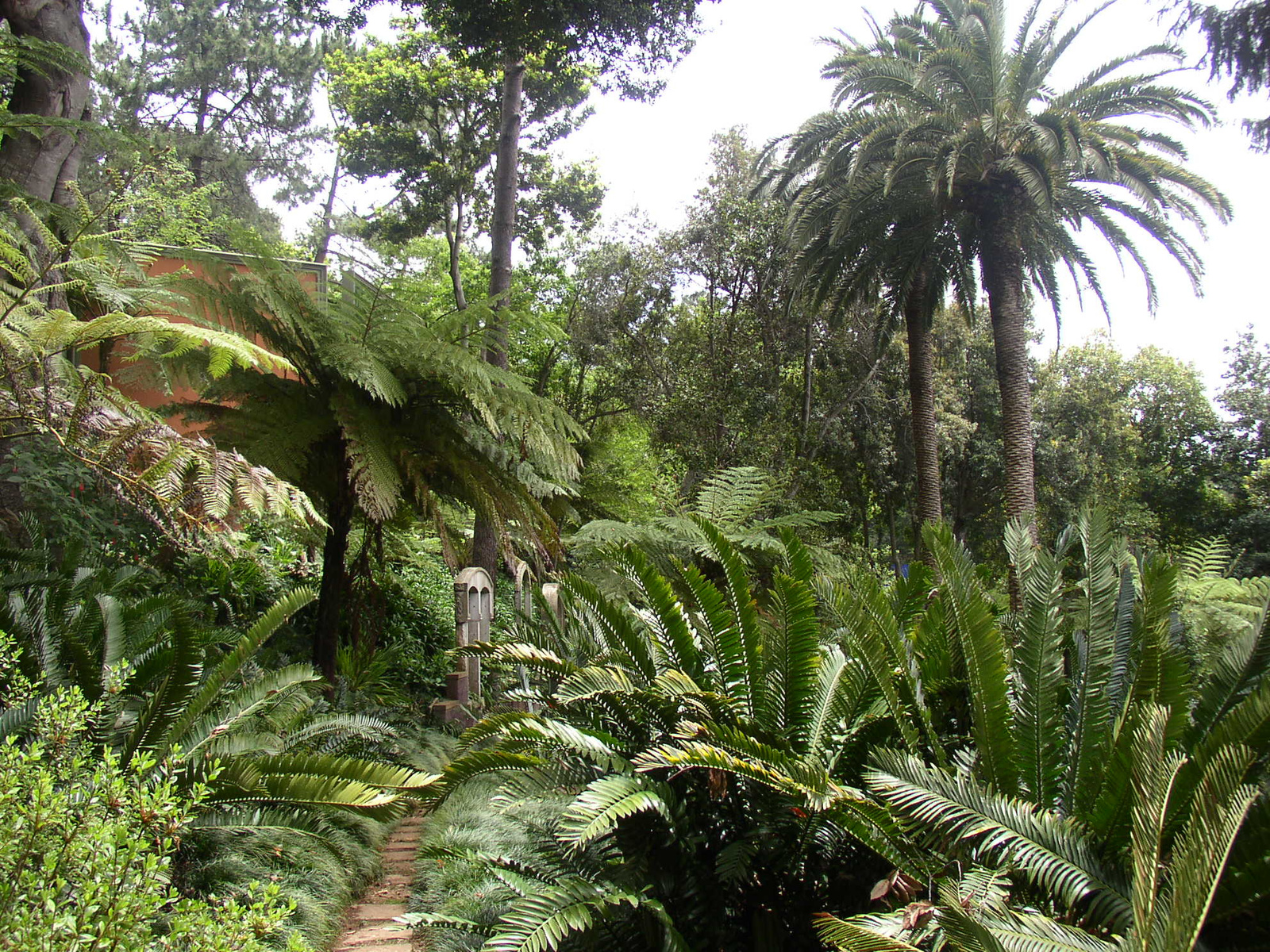 madeira2007 057