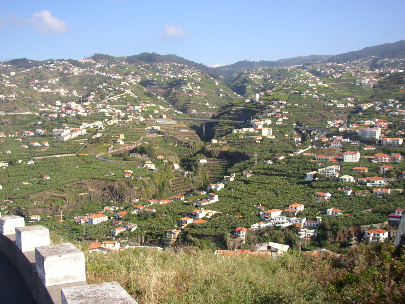 madeira2007 090