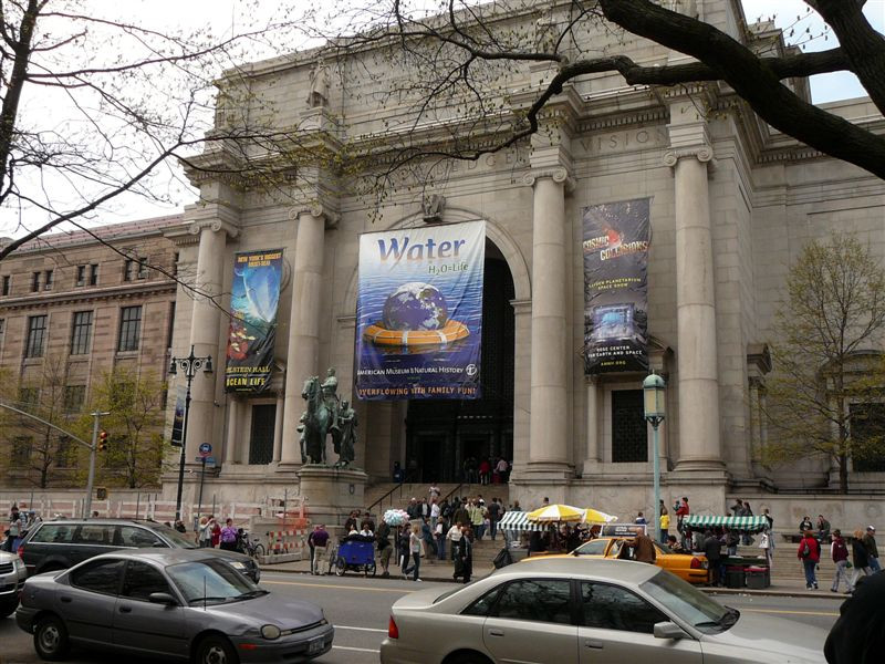 American Museum of Natural History - New York City