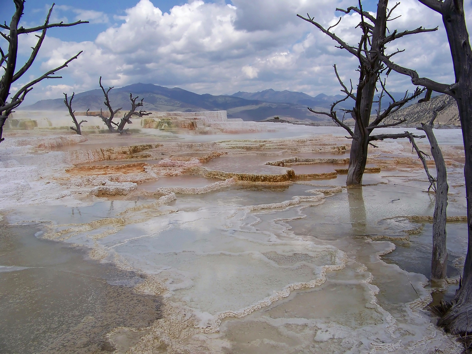 MammothHotSprings