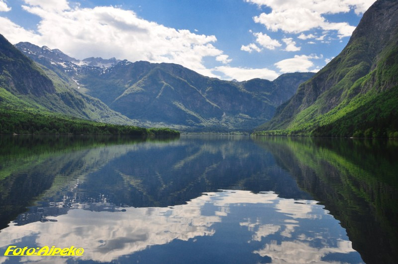 Bohinji tó