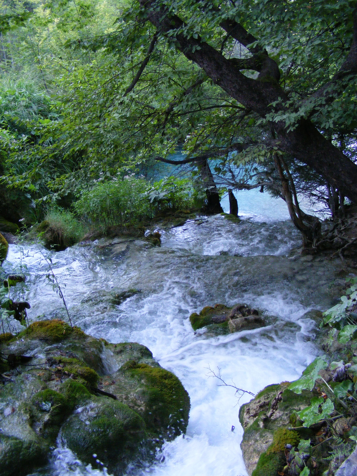 Plitvice 2008.08  39