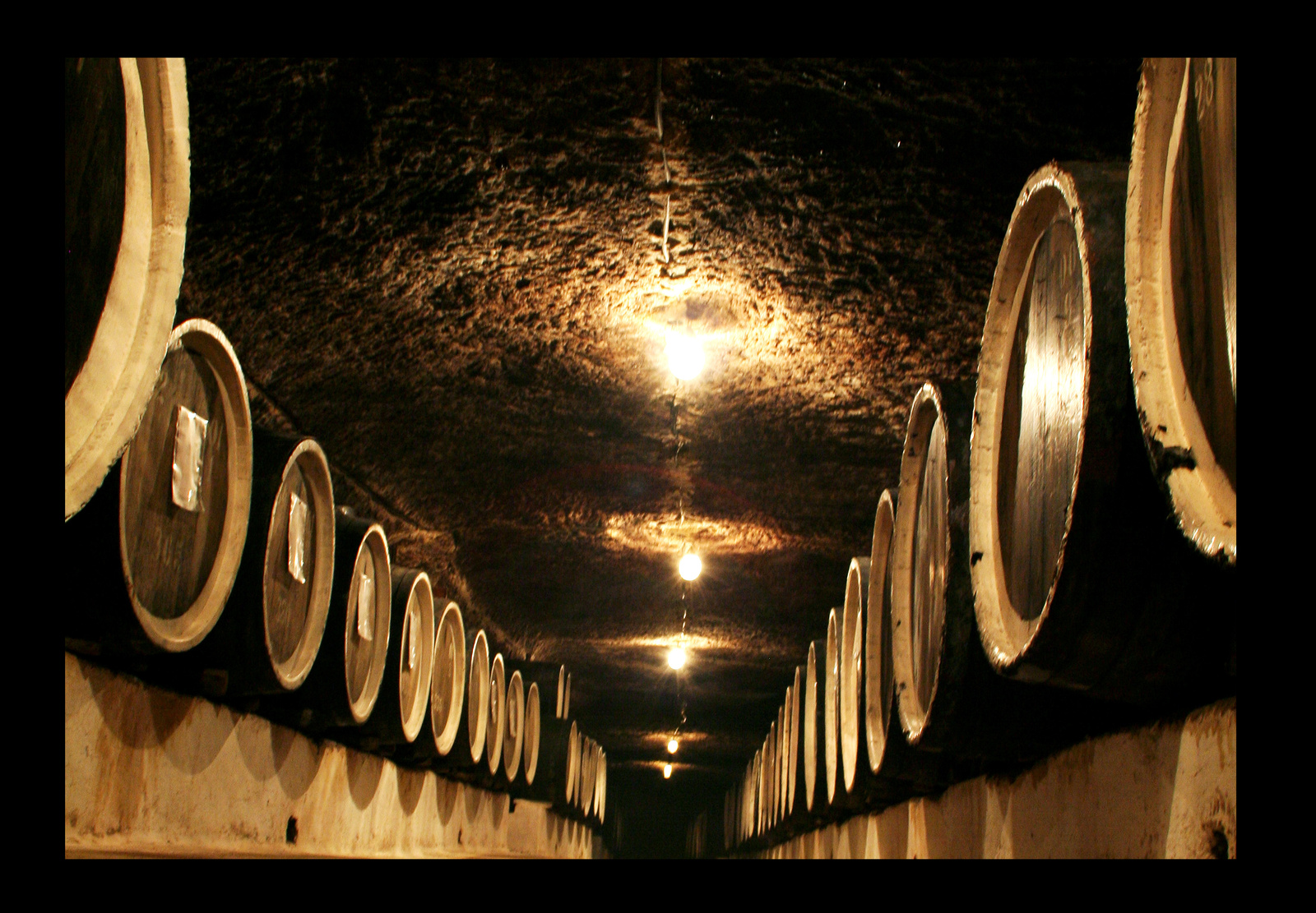 Borospince-Wine cellar